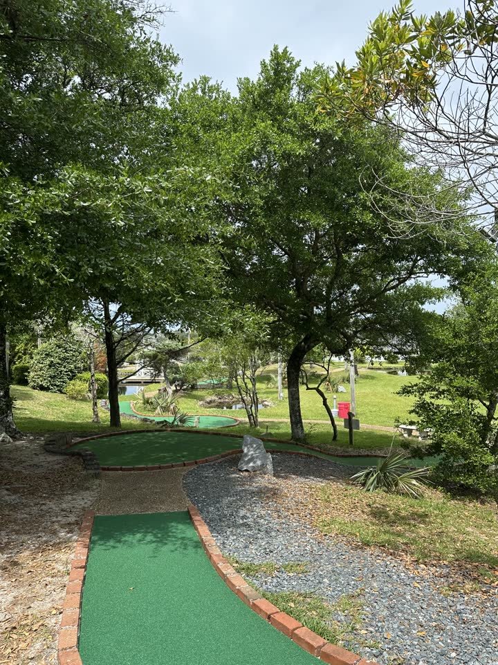 Tree-lined mini golf fairway winding through the Frisco course
